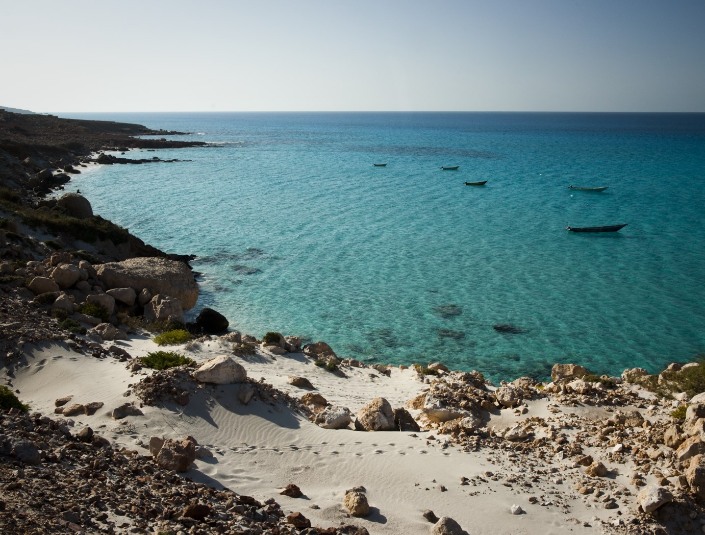 socotra (2).jpg